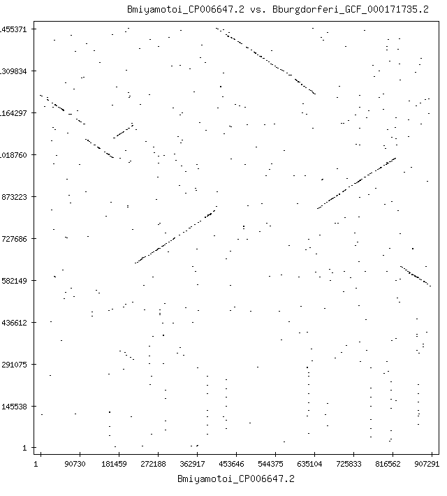 Mp Bmiyamotoi CP006647.2 vs Bburgdorferi GCF 000171735.2 20 1 100 nuc.gif