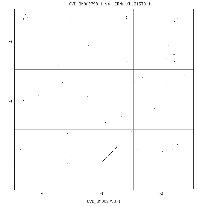 CVD OM002793.1 vs CRNA KU131570.1 2 12 0 100 R2.gif